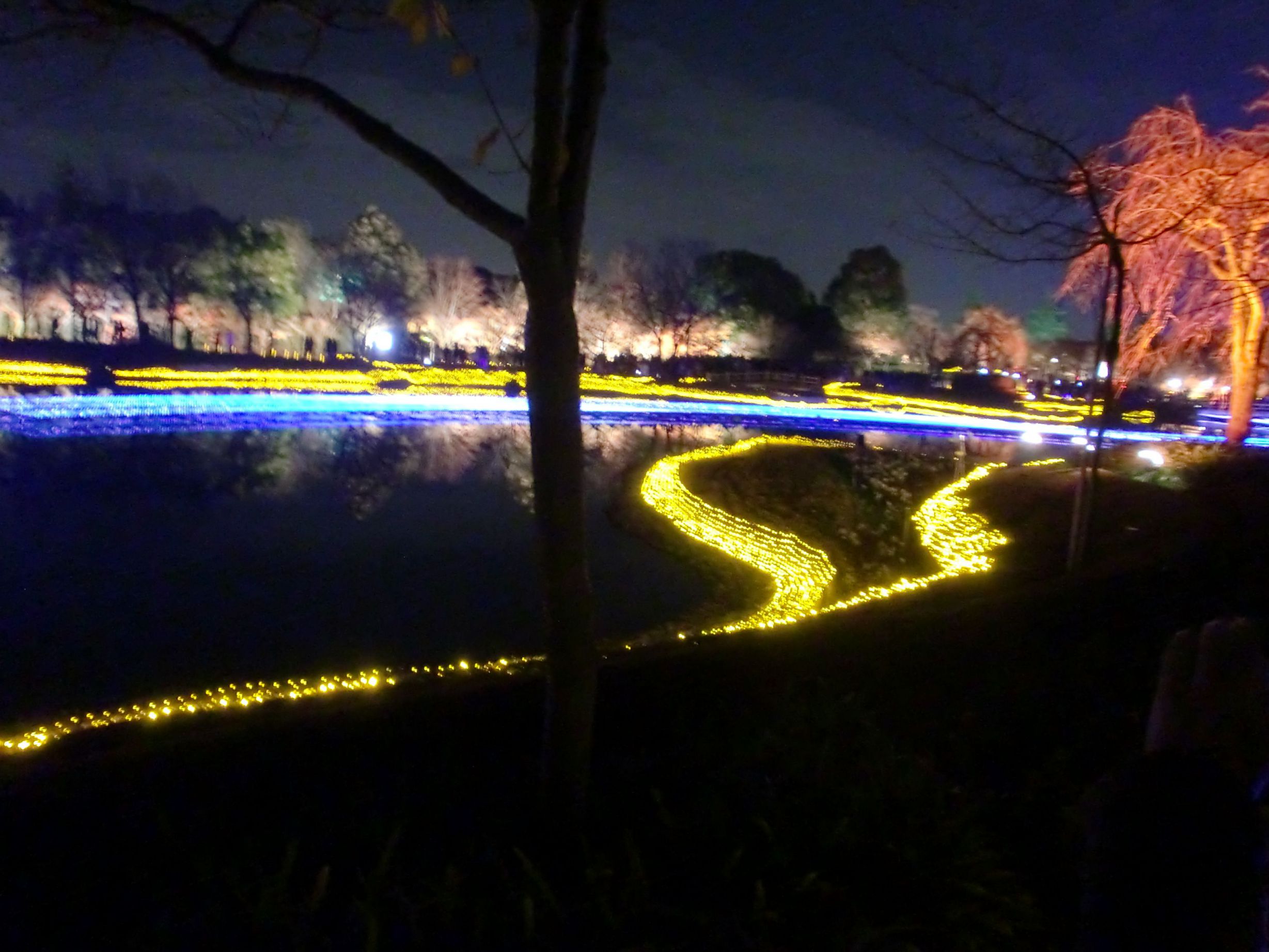 日本名古屋市郊河边公园夜景设计与安装