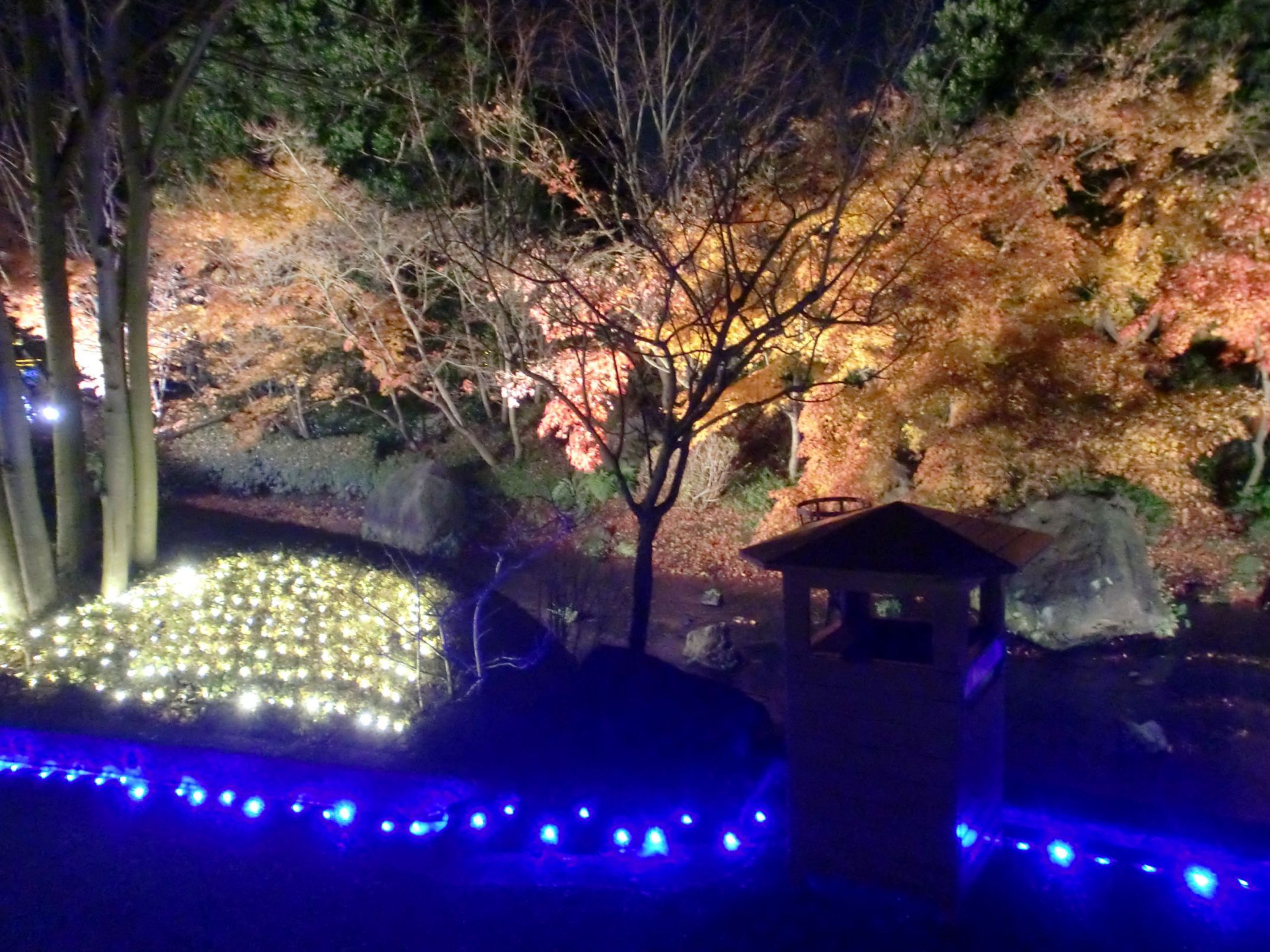 日本寺院内景观灯光秀设计安装